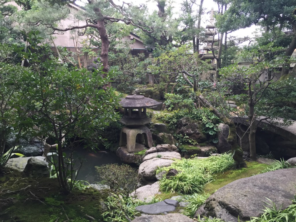 Back garden