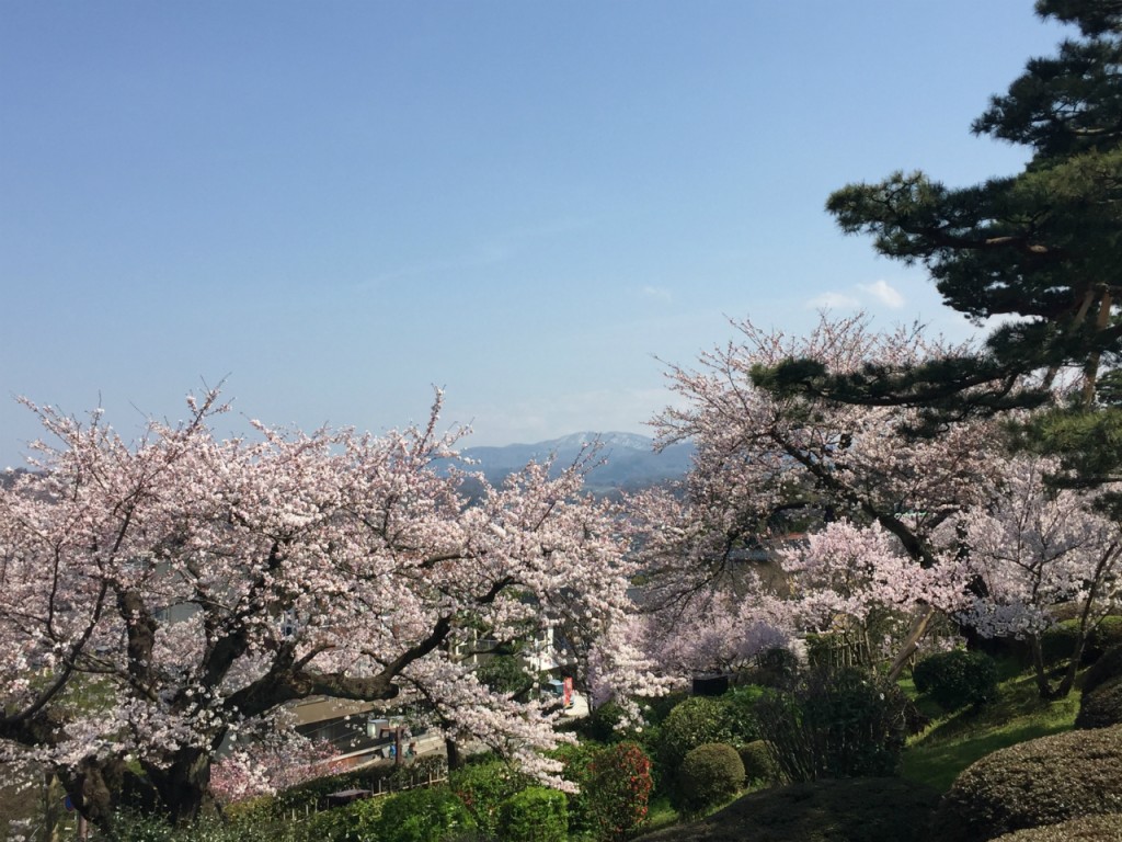 Scenic background